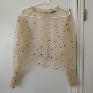 Sheer Zara Top